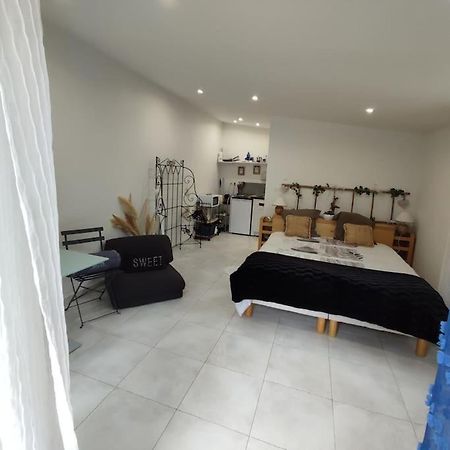 Studio Independant Dans Villa, Parking Gratuit. Кастельно-ле-Лез Екстер'єр фото
