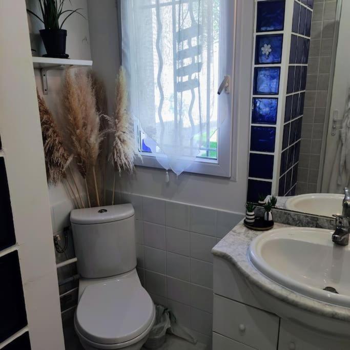 Studio Independant Dans Villa, Parking Gratuit. Кастельно-ле-Лез Екстер'єр фото